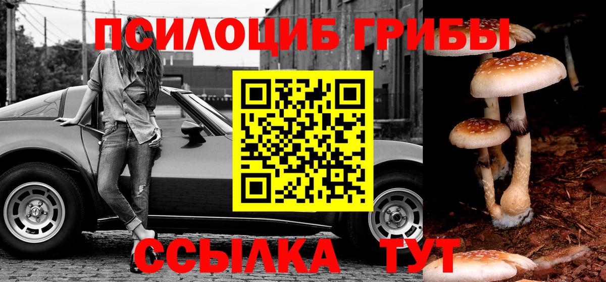 Псилоцибиновые грибы MAGIC MUSHROOMS Тавда